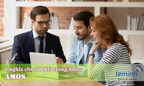 Ý nghĩa chỉ số PNFI trong Amos